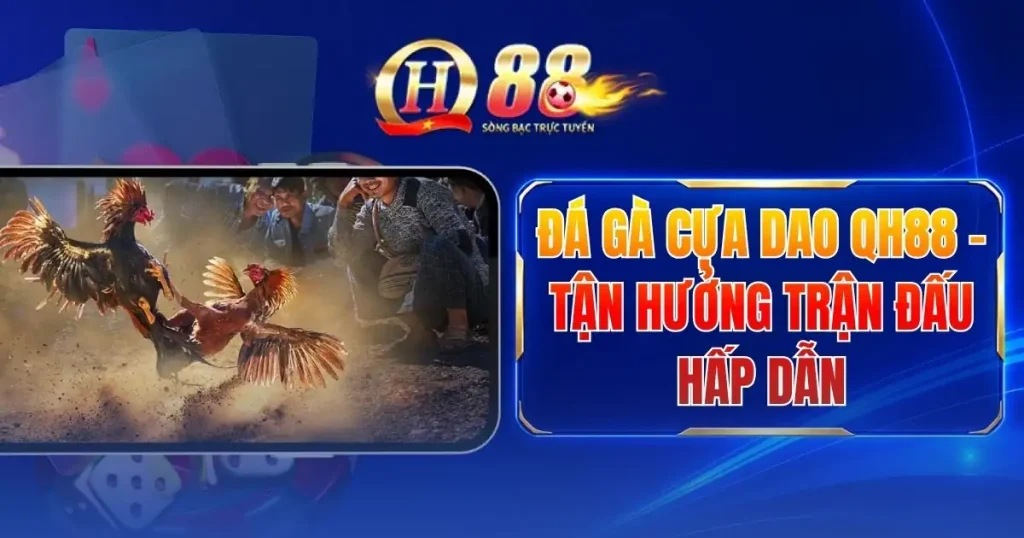 da-ga-cua-dao-qh88-tan-huong-tran-dau-hap-dan