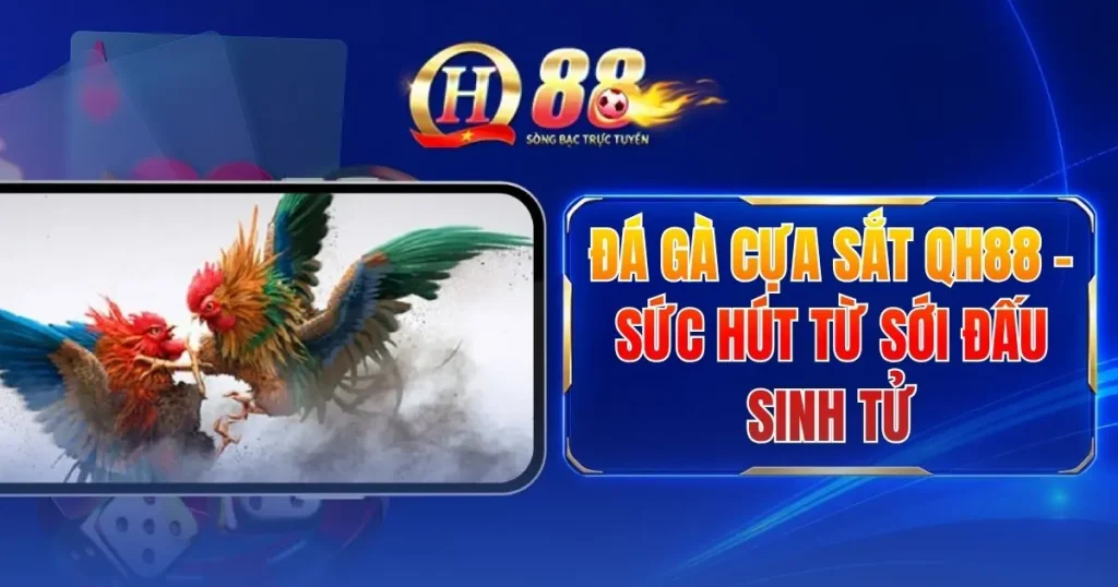 da-ga-cua-sat-qh88-suc-hut-tu-soi-dau-sinh-tu
